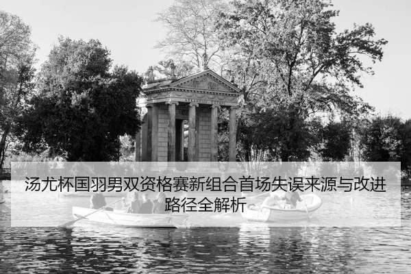 tang-you-bei-guo-yu-nan-shuang-zi-ge-sai-xin-zu-he-shou-chang-shi-wu-lai-yuan-yu-gai-jin-lu-jing-quan-jie-xi-2-938.jpg